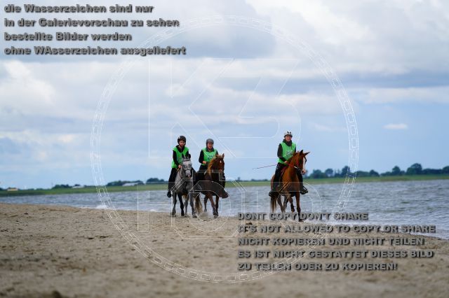 s_K3F05025.JPG